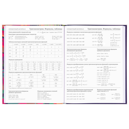 Дневник 5-11 класс 48 л., гибкая обложка, BRAUBERG, глянцевая ламинация, с подсказом, "Lion", 106386 - Дневники для старших классов