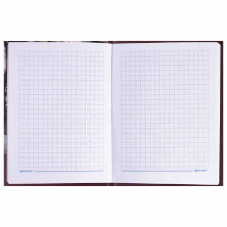 Блокнот МАЛЫЙ ФОРМАТ 110х147 мм А6, 80 л., ламинированная обложка, выборочный лак, клетка, BRAUBERG, "Время", 123242 - Блокноты в книжном переплете
