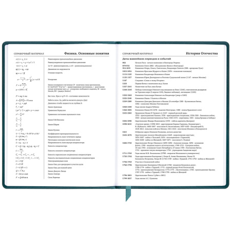 Дневник 1-11 класс 48 л., кожзам (твердая), печать, резинка, конверт, BRAUBERG, "Bright Lion", 106577 - Дневники универсальные