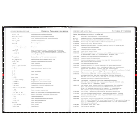 Дневник 5-11 класс 48 л., твердый, BRAUBERG, глянцевая ламинация, с подсказом, "Стиль", 106392 - Дневники для старших классов