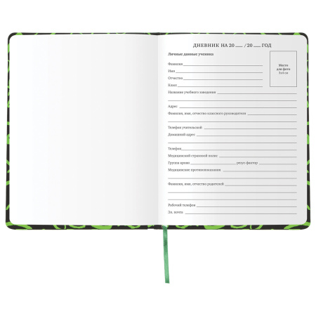 Дневник 1-11 класс 48 л., кожзам (твердая с поролоном), флуоресцентный, BRAUBERG, "ШРИФТ", 105983 - Дневники для старших классов