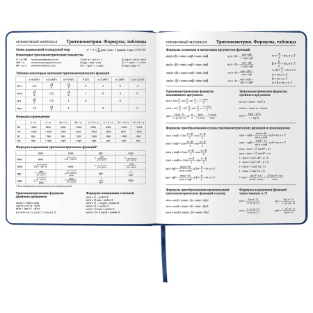 Дневник 1-11 класс 48 л., кожзам (твердая), шелкография, BRAUBERG, "ГРАФФИТИ", 105990 - Дневники универсальные
