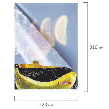 Папка-уголок BRAUBERG "FRESH ZONE", А4, 150 мкм, цветная печать, 228035 - Папки-уголки пластиковые