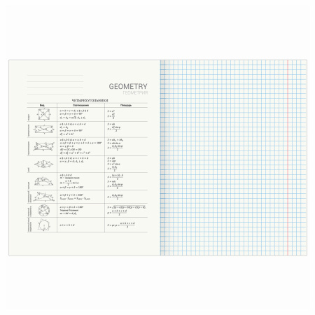 Тетрадь предметная "DELIGHT" 48 л., обложка картон, ГЕОМЕТРИЯ, клетка, BRAUBERG, 404573 - Тетради предметные
