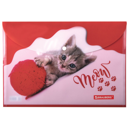 Папка-конверт с кнопкой BRAUBERG "FUNNY CAT", А4, 160 мкм, цветная печать, 228038 - Папки-конверты с кнопкой