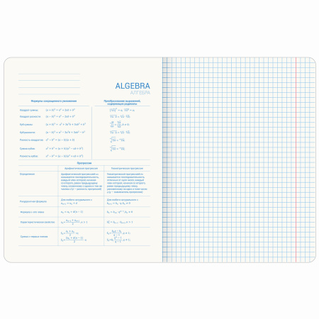 Тетради предметные со справочным материалом, КОМПЛЕКТ 10 ПРЕДМЕТОВ, ORIGINAL, 48 л., TWIN лак, BRAUBERG, 404328 - Тетради предметные