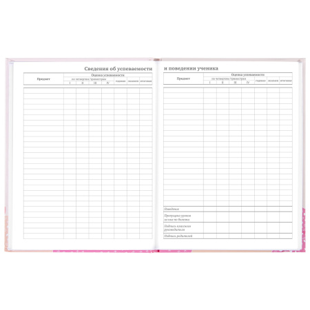 Дневник 5-11 класс 48 л., твердый, BRAUBERG, глянцевая ламинация, с подсказом, "Летний", 106631 - Дневники для старших классов