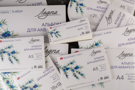 Альбом-склейка для акварели "Ладога", 300 г/м2, А4, 100% хлопок, 12 листов, крупное зерно - Альбомы и бумага для акварели и масла