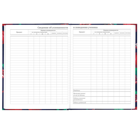 Дневник 5-11 класс 48 л., твердый, BRAUBERG, глянцевая ламинация, с подсказом, "Гранаты", 106621 - Дневники для старших классов