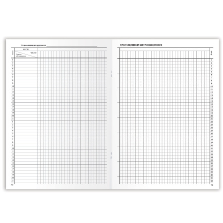 Классный журнал BRAUBERG 1-4 кл., А4, 200х290 мм, твердая ламинированная обложка, офсет, 125140 - Классные журналы