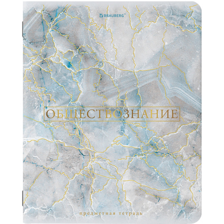 Тетради предметные со справочным материалом, КОМПЛЕКТ 10 ПРЕДМЕТОВ, "PASTEL", 48 л., SoftTouch, фольга, BRAUBERG, 404031 - Тетради предметные