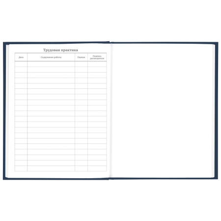 Дневник 5-11 класс 48 л., твердый, BRAUBERG, выборочный лак, с подсказом, "Футбол", 106636 - Дневники для старших классов