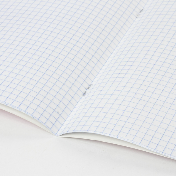 Тетрадь BRAUBERG "EXTRA" 24 л., клетка, плотная бумага 80 г/м2, обложка картон, 105710 - Тетради 12-24 листов