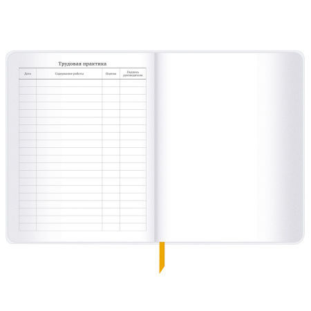 Дневник 1-11 класс 48 л., кожзам (гибкая), печать, фольга, BRAUBERG, "Mountains", 106223 - Дневники универсальные