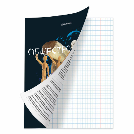 Тетрадь предметная со справочным материалом ORIGINAL 48 л., TWIN лак, ОБЩЕСТВОЗНАНИЕ, клетка, BRAUBERG, 404298 - Тетради предметные