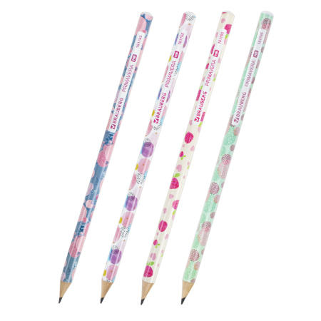 Карандаш чернографитный BRAUBERG "PRIMAVERA", 1 шт., HB, корпус ассорти, 181765 - Карандаши чернографитные