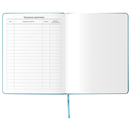 Дневник 1-11 класс 48 л., кожзам (твердая с поролоном), тиснение аппликация, BRAUBERG, "ДЖИП", 105977 - Дневники универсальные