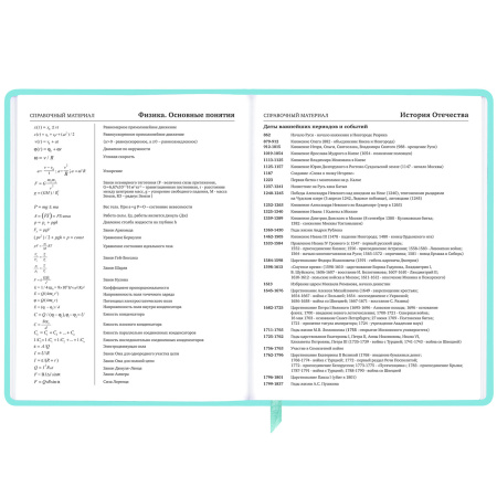 Дневник 1-11 класс 48 л., кожзам SoftTouch (твердая с поролоном), фольга, BRAUBERG, "Leopard", 106576 - Дневники универсальные