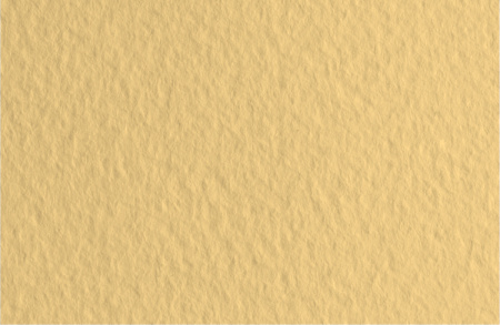 Бумага для пастели TIZIANO 160г/кв.м 500х650мм цв.№05 насыщенный кремовый