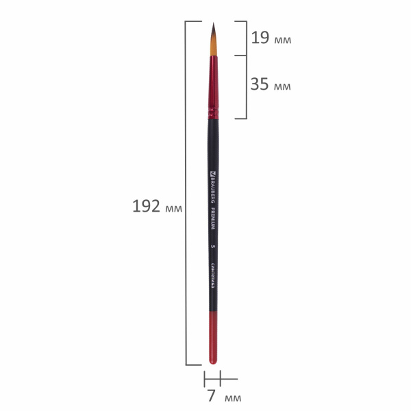 Кисть синтетика, круглая № 5, BRAUBERG PREMIUM, 201004 - Кисти для рисования