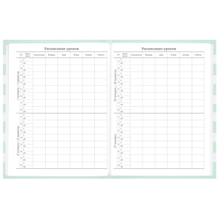 Дневник 1-11 класс 48 л., твердый, BRAUBERG, блестки, с подсказом, "Котик", 106606 - Дневники для младших классов