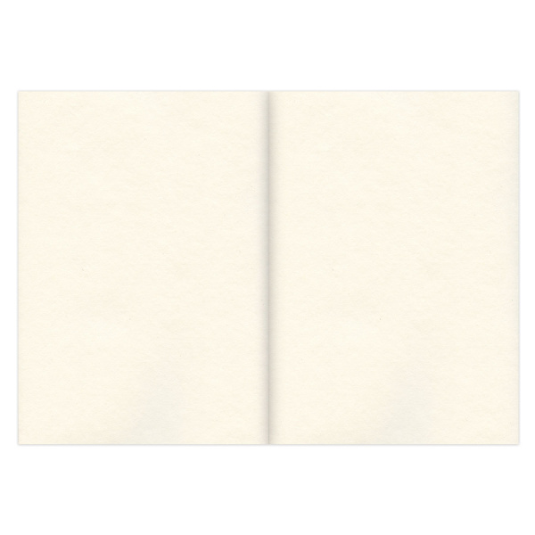 Скетчбук, слоновая кость 100 г/м2, 148х210 мм, 120 л., прошивка, BRAUBERG ART CLASSIC, 128961 - Альбомы, скетчбуки и бумага для графики и эскизов