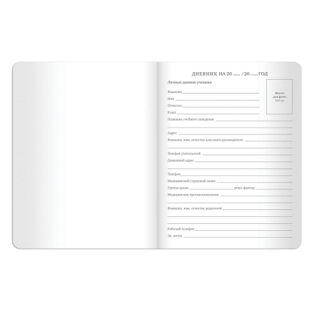 Дневник 1-11 класс 48 л., кожзам (гибкая), термотиснение, BRAUBERG "LATTE", зеленый, 105436 - Дневники универсальные