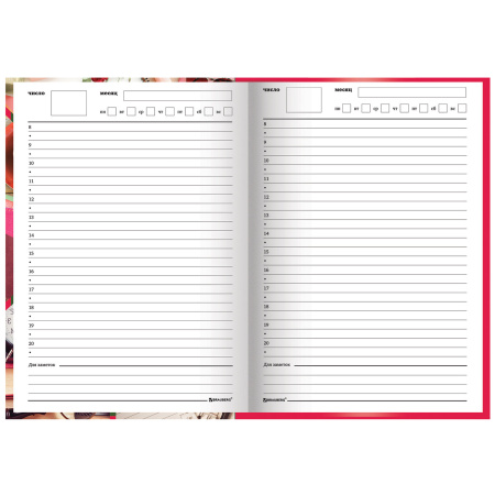 Ежедневник учителя специализированный А5 (215х145 мм), твердая обложка, 144 л., BRAUBERG, "АКСЕССУАРЫ", 129232 - Ежедневники с твердой обложкой