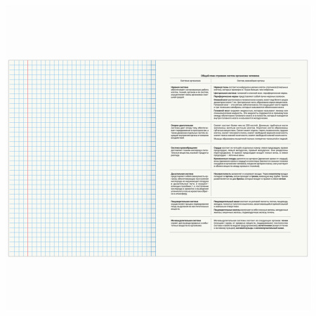 Тетрадь предметная "КЛАССИКА NATURE" 48 л., обложка картон, БИОЛОГИЯ, клетка, BRAUBERG, 404583 - Тетради предметные