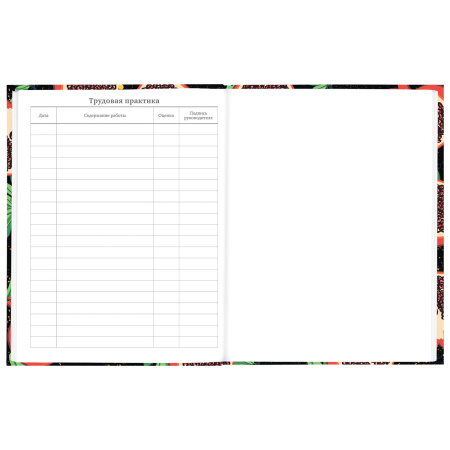 Дневник 5-11 класс 48 л., твердый, BRAUBERG, блестки, с подсказом, "Гранаты", 106639 - Дневники для старших классов