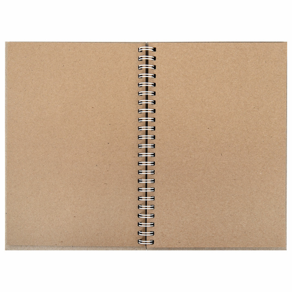 Скетчбук, крафт бумага 80 г/м2, 145х205 мм, 60 л., гребень, твердая обложка, BRAUBERG ART DEBUT, 115065 - Альбомы, скетчбуки и бумага для графики и эскизов