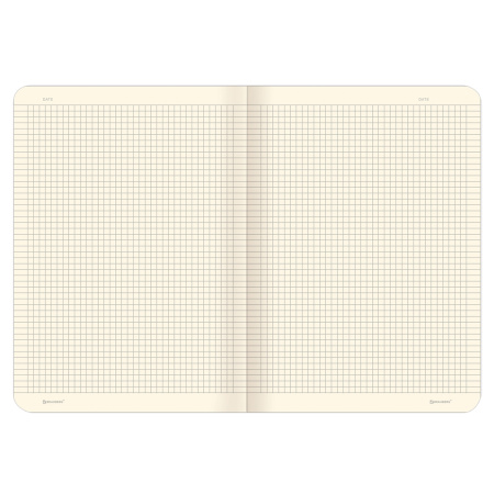 Тетрадь 60 л. в клетку обложка КРАФТ, бежевая бумага 70 г/м2, сшивка, В5 (179х250 мм), КИТЫ, BRAUBERG, 403809 - Тетради более 60 листов