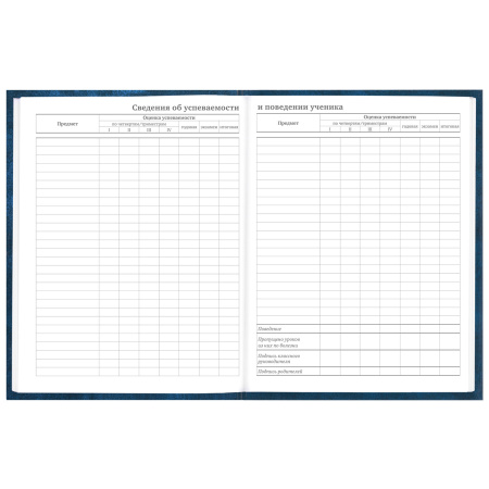 Дневник 5-11 класс 48 л., твердый, BRAUBERG, глянцевая ламинация, с подсказом, "Мотивация", 106630 - Дневники для старших классов