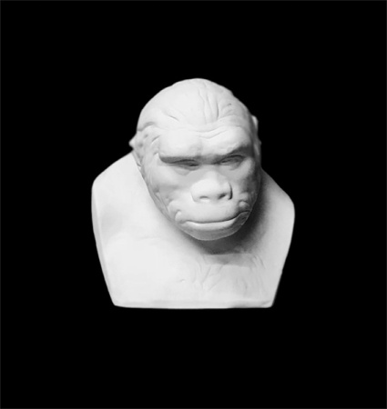 Бюст питекантропа 16.5*14*17.5 (20-253)