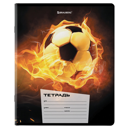 Тетради 12 л. КОМПЛЕКТ 10 шт. BRAUBERG, клетка, обложка картон, ФУТБОЛ, 106666 - Тетради 12-24 листов