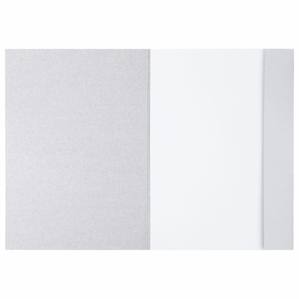 Папка для рисования А4, 20 л., 160 г/м2, BRAUBERG, 210х297 мм, "Орел", 125230 - Альбомы, скетчбуки и бумага для графики и эскизов