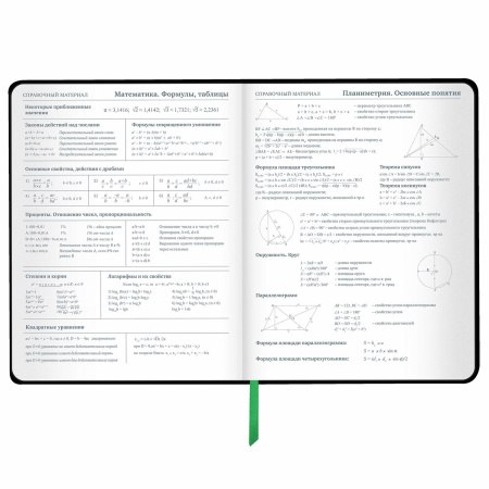 Дневник 1-11 класс 48 л., кожзам (твердая с поролоном), флуоресцентный, BRAUBERG, "Avocado", 106200 - Дневники универсальные