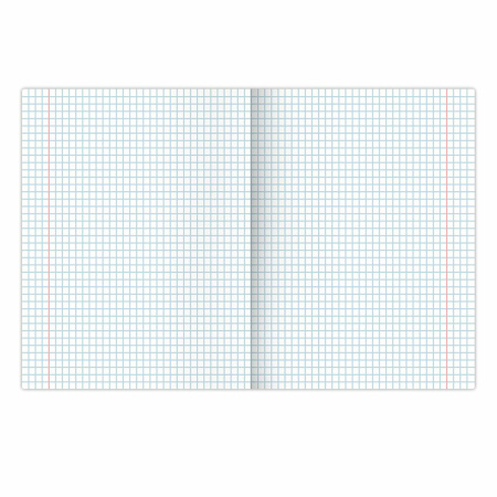 Тетрадь предметная "КЛАССИКА NATURE" 48 л., обложка картон, ИНФОРМАТИКА, клетка, BRAUBERG, 404586 - Тетради предметные