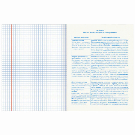 Тетради предметные, КОМПЛЕКТ 10 ПРЕДМЕТОВ, "КЛАССИКА XXI", 48 л., обложка картон, BRAUBERG, 404025 - Тетради предметные