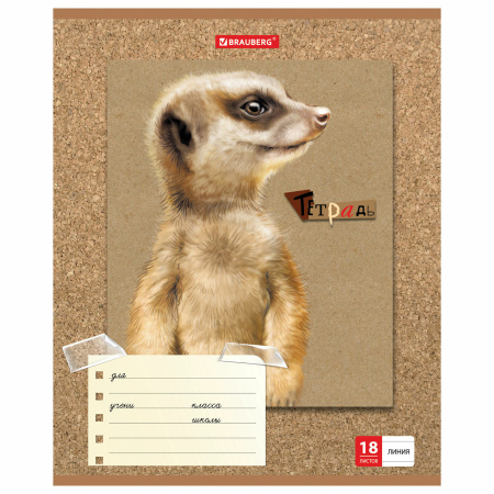 Тетрадь 18 л. BRAUBERG линия, обложка картон, "МИЛЫЕ ЗВЕРУШКИ", 403580 - Тетради 12-24 листов