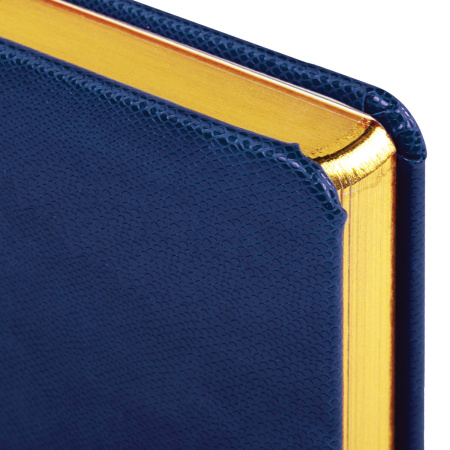 Ежедневник недатированный А5 138х213 мм BRAUBERG "Iguana" под кожу, 160 л, темно-синий, 125091 - Ежедневники с покрытием "под кожу и ткань"