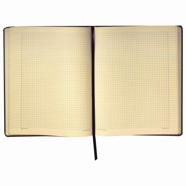 Блокнот БОЛЬШОЙ ФОРМАТ (200х252 мм) В5, BRAUBERG "Income", кожзам, 128 л., клетка, черный, 125204 - Бизнес-блокноты и бизнес-тетради