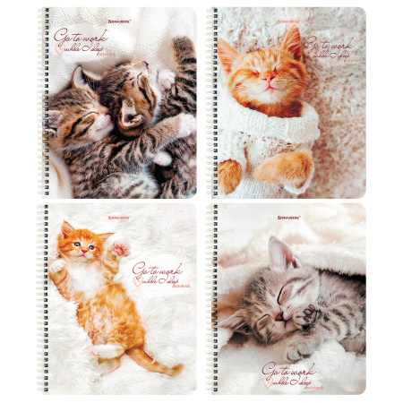 Тетрадь А5, 96 л., BRAUBERG, гребень, клетка, обложка картон, "Котики" (микс в спайке), 404425 - Тетради более 60 листов