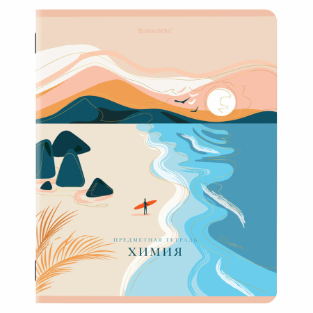 Тетради предметные, КОМПЛЕКТ 12 ПРЕДМЕТОВ, "ELEGANCE", 48 л., SoftTouch, фольга, BRAUBERG, 404611 - Тетради предметные