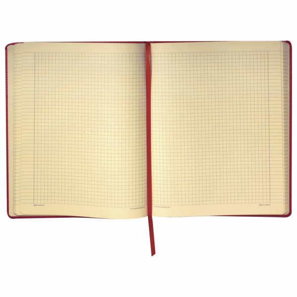Блокнот БОЛЬШОЙ ФОРМАТ (200х252 мм) В5, BRAUBERG "Income", кожзам, 128 л., клетка, красный, 125205 - Бизнес-блокноты и бизнес-тетради