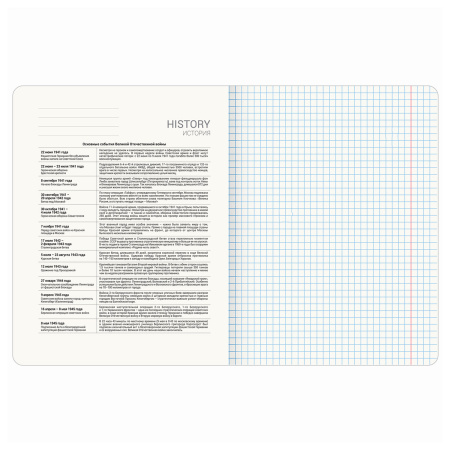 Тетрадь предметная "ANIME" 48 л., глянцевый УФ-лак, ИСТОРИЯ, клетка, BRAUBERG, 1 шт, 404539 - Тетради предметные