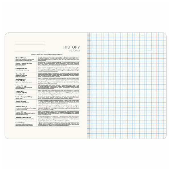 Тетрадь предметная "ANIME" 48 л., глянцевый УФ-лак, ИСТОРИЯ, клетка, BRAUBERG, 1 шт, 404539 - Тетради предметные