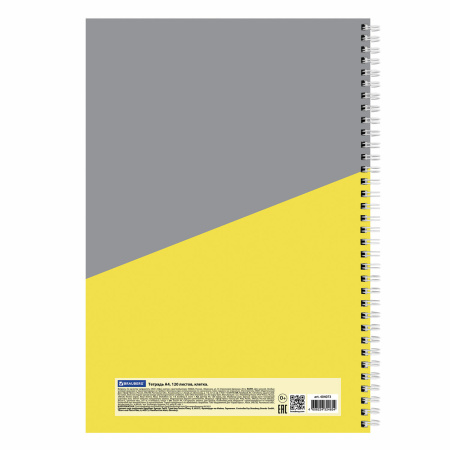 Тетрадь А4, 120 л., BRAUBERG, гребень, клетка, обложка твердая, "Office", 404073 - Тетради формата А4