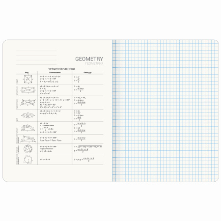 Тетрадь предметная "GRADIENT" 48 л., матовая ламинация, лак, ГЕОМЕТРИЯ, клетка, BRAUBERG, 404290 - Тетради предметные