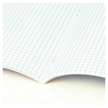 Тетради 12 л. КОМПЛЕКТ 10 шт. BRAUBERG, клетка, обложка картон, FRUITS AND ANIMALS, 106664 - Тетради 12-24 листов